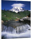 Mt. Rainier Rising above Valley by Anonymous