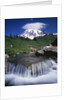Mt. Rainier Rising above Valley by Anonymous