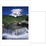 Mt. Rainier Rising above Valley by Anonymous