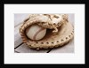Baseball and Glove by Anonymous