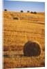 Harvested Fields of Hay by Anonymous