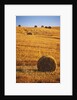 Harvested Fields of Hay by Anonymous
