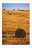 Harvested Fields of Hay by Anonymous