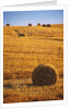 Harvested Fields of Hay by Anonymous