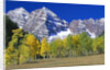 Aspen Trees Before Maroon Peaks by Anonymous