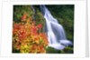 Autumn Leaves by Rushing Waterfall by Anonymous