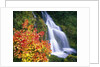 Autumn Leaves by Rushing Waterfall by Anonymous