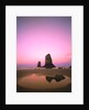 Dusk Settling over Coastal Rock at Cannon Beach by Anonymous