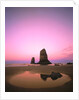 Dusk Settling over Coastal Rock at Cannon Beach by Anonymous