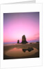 Dusk Settling over Coastal Rock at Cannon Beach by Anonymous