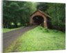 Covered Bridge near Coast by Anonymous