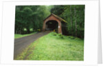 Covered Bridge near Coast by Anonymous