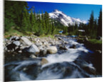 Winding Creek Below Snow-Capped Mountain by Anonymous