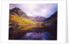 Autumn Trees Encircling Mountain Lake at Dawn by Anonymous