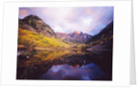 Autumn Trees Encircling Mountain Lake at Dawn by Anonymous