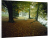 Quiet Park in Autumn by Anonymous