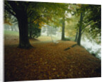 Quiet Park in Autumn by Anonymous