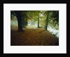 Quiet Park in Autumn by Anonymous