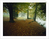 Quiet Park in Autumn by Anonymous