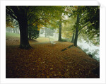 Quiet Park in Autumn by Anonymous