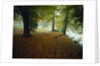 Quiet Park in Autumn by Anonymous