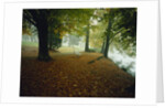 Quiet Park in Autumn by Anonymous