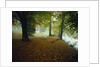 Quiet Park in Autumn by Anonymous
