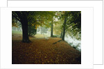 Quiet Park in Autumn by Anonymous