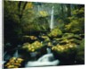 Stream and Waterfall in Autumn by Anonymous