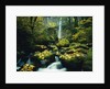 Stream and Waterfall in Autumn by Anonymous