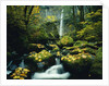Stream and Waterfall in Autumn by Anonymous