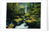 Stream and Waterfall in Autumn by Anonymous