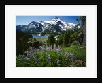 Wildflowers in Bloom by Snow-Capped Mountain by Anonymous