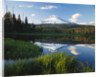 Mount Hood Reflected in Beaver Pond by Anonymous