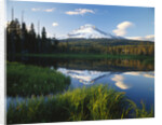 Mount Hood Reflected in Beaver Pond by Anonymous