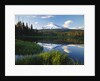 Mount Hood Reflected in Beaver Pond by Anonymous