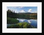 Mount Hood Reflected in Beaver Pond by Anonymous
