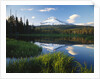 Mount Hood Reflected in Beaver Pond by Anonymous
