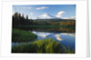 Mount Hood Reflected in Beaver Pond by Anonymous