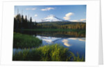 Mount Hood Reflected in Beaver Pond by Anonymous