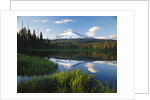 Mount Hood Reflected in Beaver Pond by Anonymous