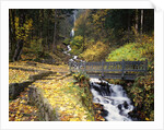 Wooden Bridge along Wahkeena Falls by Anonymous