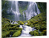 Water Cascading Down Proxy Falls by Anonymous