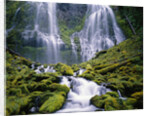 Water Cascading Down Proxy Falls by Anonymous