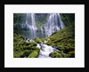 Water Cascading Down Proxy Falls by Anonymous