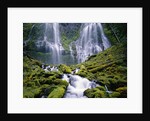 Water Cascading Down Proxy Falls by Anonymous