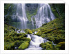 Water Cascading Down Proxy Falls by Anonymous