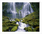 Water Cascading Down Proxy Falls by Anonymous
