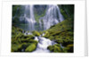 Water Cascading Down Proxy Falls by Anonymous