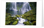 Water Cascading Down Proxy Falls by Anonymous